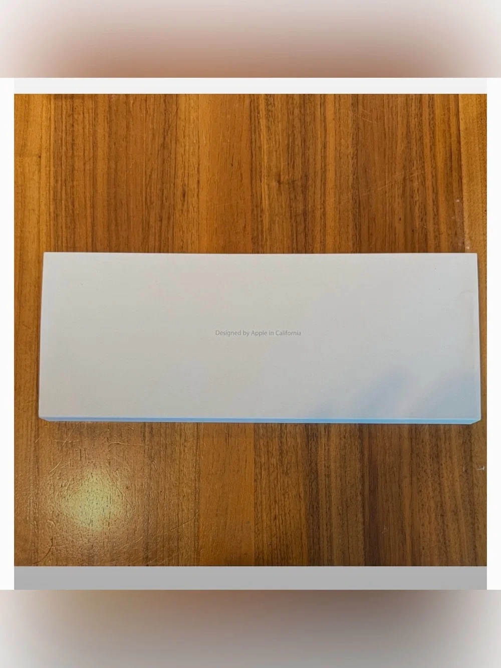 Apple magic mouse